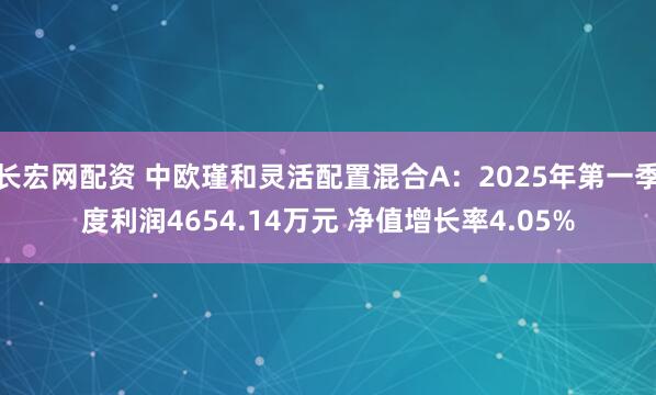 长宏网配资 中欧瑾和灵活配置混合A：2025年第一季度利润4654.14万元 净值增长率4.05%