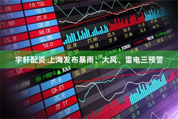 宇轩配资 上海发布暴雨、大风、雷电三预警