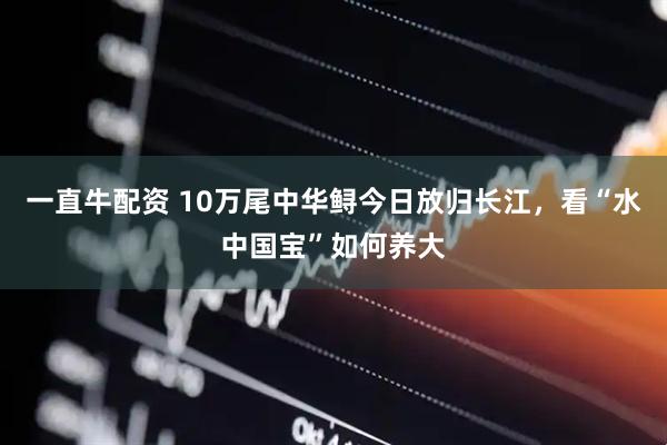 一直牛配资 10万尾中华鲟今日放归长江，看“水中国宝”如何养大