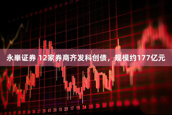 永崋证券 12家券商齐发科创债，规模约177亿元