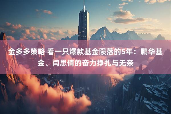 金多多策略 看一只爆款基金陨落的5年：鹏华基金、闫思倩的奋力挣扎与无奈