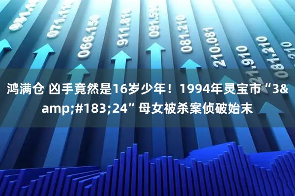 鸿满仓 凶手竟然是16岁少年！1994年灵宝市“3&#183;24”母女被杀案侦破始末