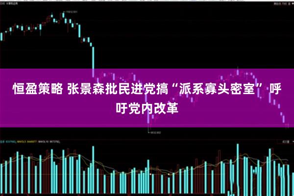 恒盈策略 张景森批民进党搞“派系寡头密室” 呼吁党内改革