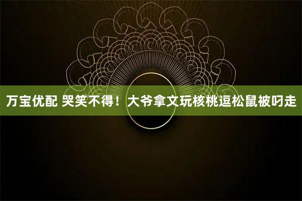 万宝优配 哭笑不得！大爷拿文玩核桃逗松鼠被叼走