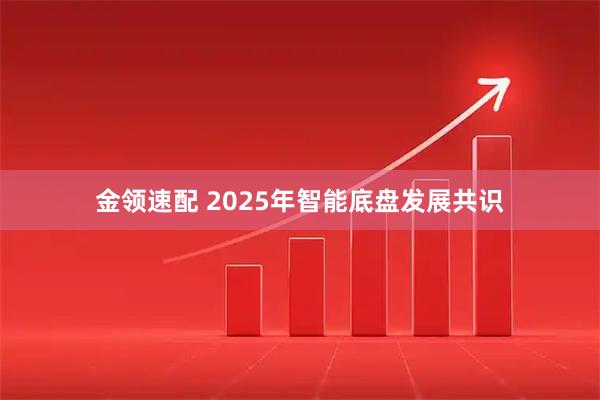 金领速配 2025年智能底盘发展共识