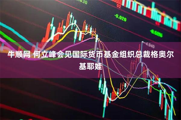 牛顺网 何立峰会见国际货币基金组织总裁格奥尔基耶娃